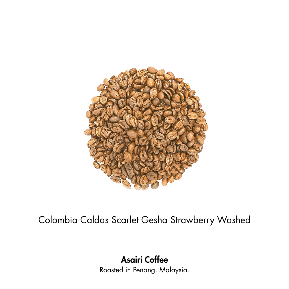 Colombia Caldas Scarlet Gesha Strawberry Washed