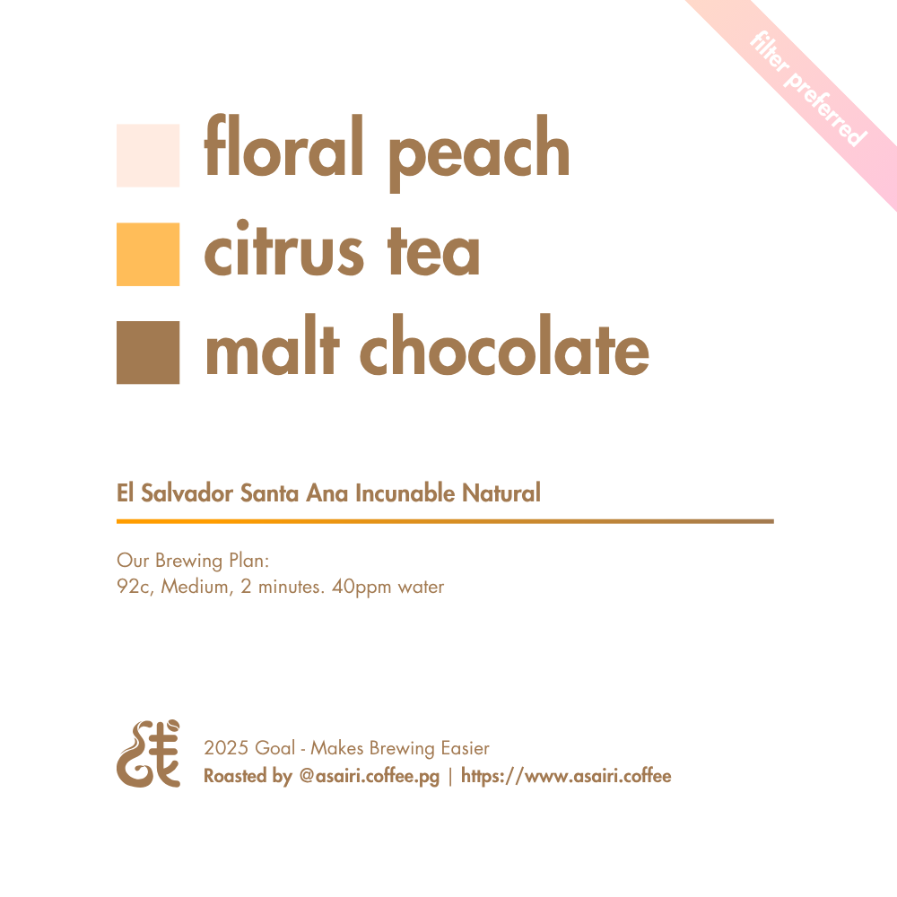 El Salvador Santa Ana Incunable Natural