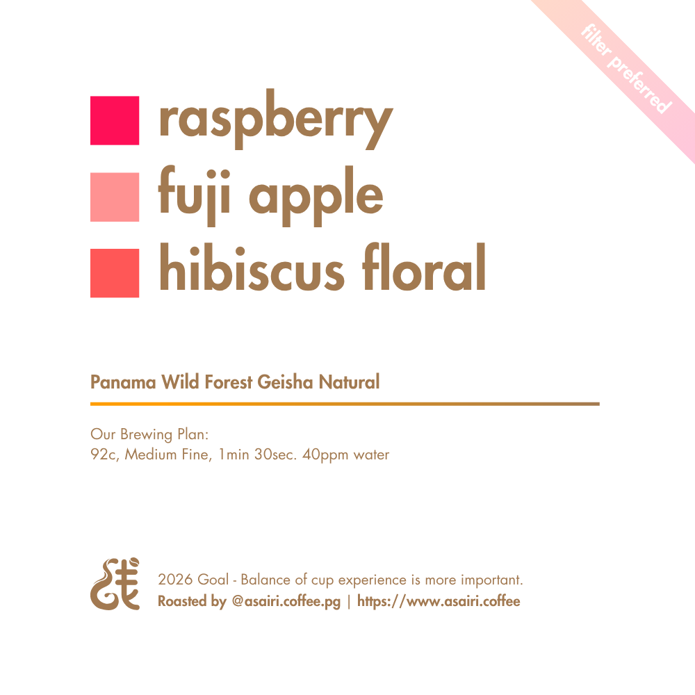 Panama Chiriqui Wild Forest Geisha Natural