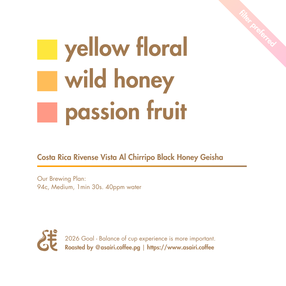 Costa Rica Rivense Vista Al Chirripo Black Honey Geisha